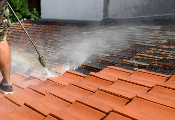 Best Local Pressure Washing Services  in Wolfe City, TX