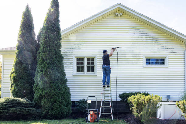 Best Deck Pressure Washing  in Wolfe City, TX