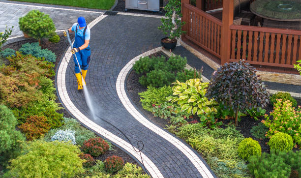 Best Concrete Pressure Washing  in Wolfe City, TX