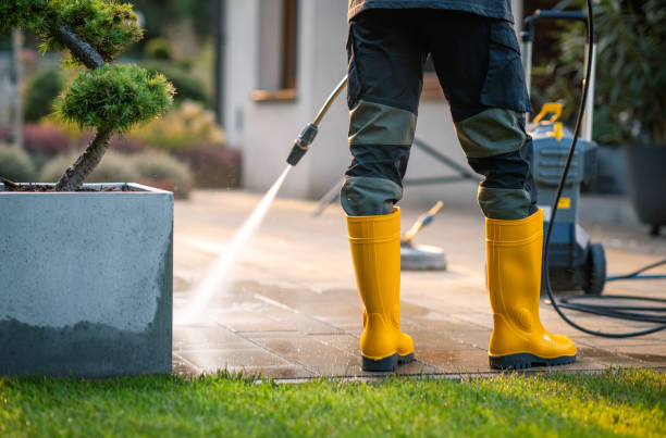 Best Sidewalk Pressure Washing  in Wolfe City, TX